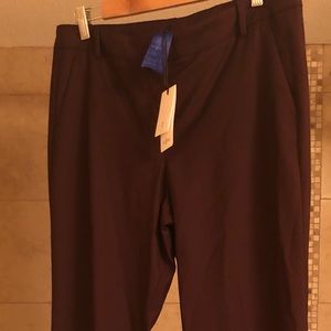 Burgundy pants by Kt & Ace